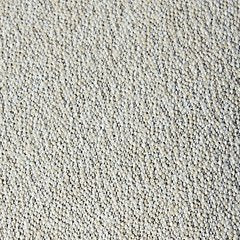 Calworth Outdoor Armless Chair with Cushion (Set of 2)